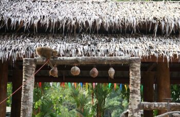 Рафтинг с Пхукета фото №41