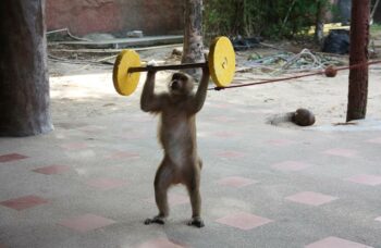 Рафтинг с Пхукета фото №38