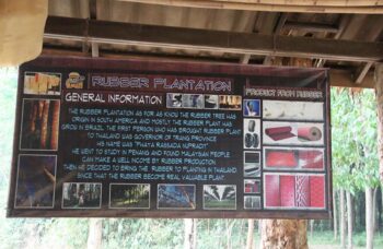 Рафтинг с Пхукета фото №26