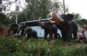 Рафтинг с Пхукета фото №24