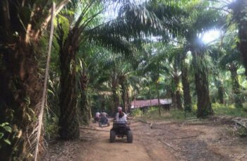 Рафтинг с Пхукета фото №21