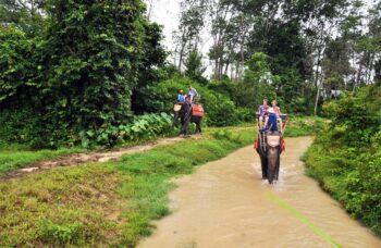 Рафтинг с Пхукета фото №12