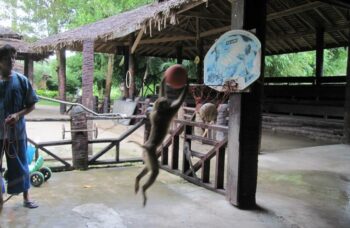 Рафтинг с Пхукета фото №5