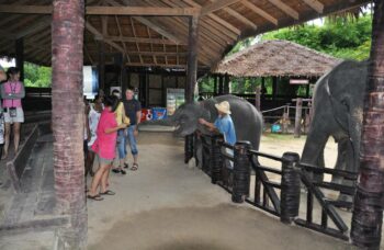 Рафтинг с Пхукета фото №4