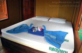 База Saichol фото №14