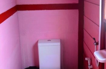 База Saichol фото №16