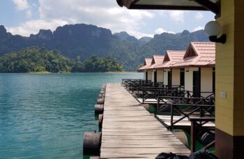 База Saichol фото №4