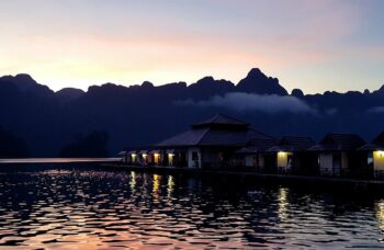 База Saichol фото №8