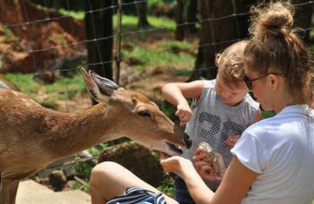 C Пхукета на Самуи - экскурсии острова фото №17