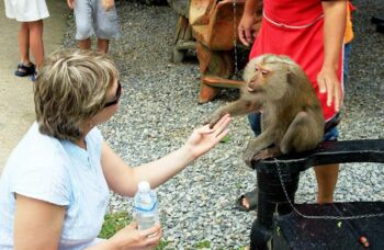 C Пхукета на Самуи - экскурсии острова фото №15