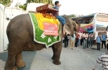 Пхукет - Шоу Сиам Нирамит фото №26