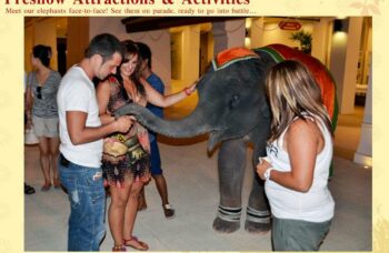 Пхукет - Шоу Сиам Нирамит фото №21