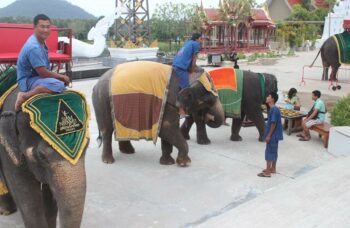 Пхукет - Шоу Сиам Нирамит фото №13