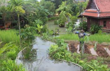 Пхукет - Шоу Сиам Нирамит фото №10
