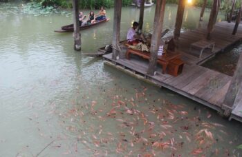 Пхукет - Шоу Сиам Нирамит фото №9