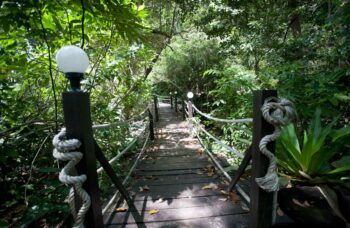 Острова Симиланы фото №7