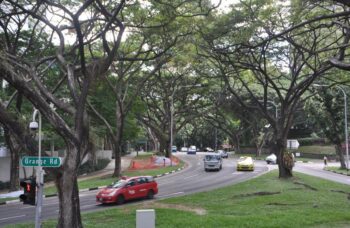 Экскурсии с Пхукета в Сингапур фото №8