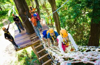 Skyline фото №1