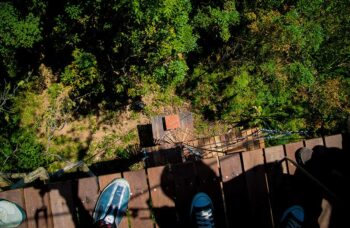 Skyline фото №3