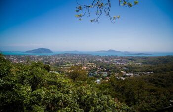 Skyline фото №4