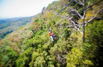 Skyline фото №5