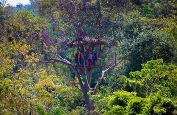 Skyline фото №8