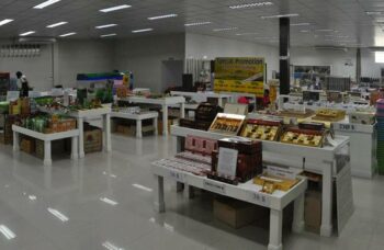 Пхукет - экскурсия на змеиную ферму фото №7