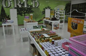 Пхукет - экскурсия на змеиную ферму фото №5