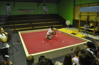 Пхукет - экскурсия на змеиную ферму фото №14