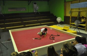 Пхукет - экскурсия на змеиную ферму фото №13