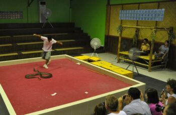 Пхукет - экскурсия на змеиную ферму фото №11