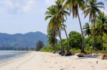 Острова Краби на катере фото №8