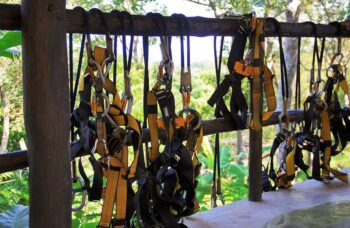 Tarzan Adventure фото №3