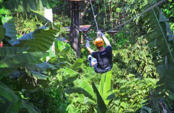 Tarzan Adventure фото №5