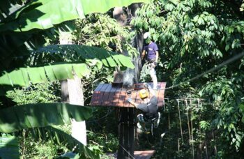 Tarzan Adventure фото №6