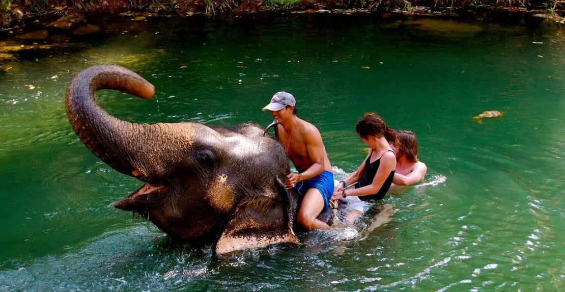 हाथी गांव