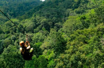 Skyline фото №13