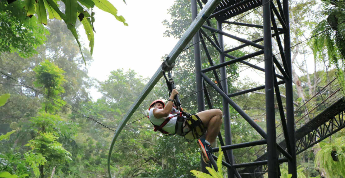 हनुमान विश्व