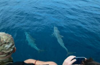 Симиланы на яхте фото №14