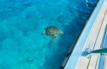 Симиланы на яхте фото №20