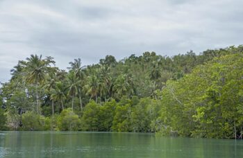 Остров Яо Яй фото №20