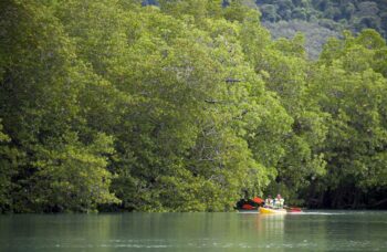 Остров Яо Яй фото №19