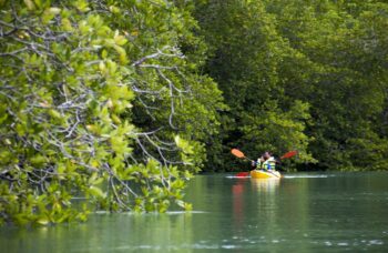 Остров Яо Яй фото №18