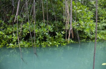 Остров Яо Яй фото №17