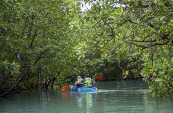 Остров Яо Яй фото №15