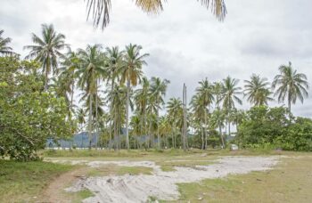 Остров Яо Яй фото №13