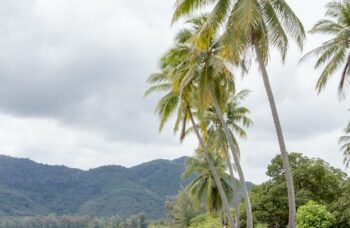 Остров Яо Яй фото №5