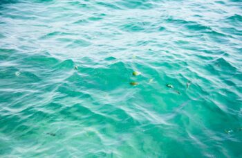 Остров Яо Яй фото №30