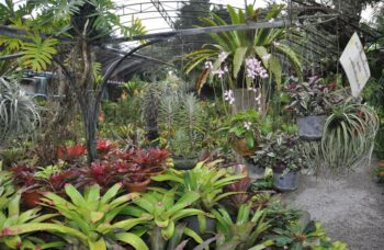 Зоопарк на Пхукете фото №12