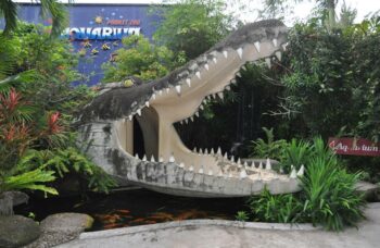 Зоопарк на Пхукете фото №10